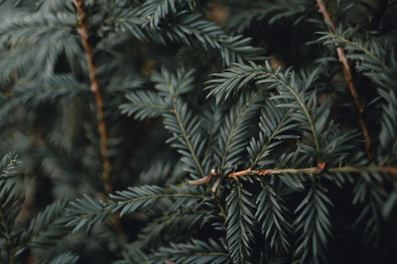 US carrier strike group deployed near Iran in the Persian Gulf